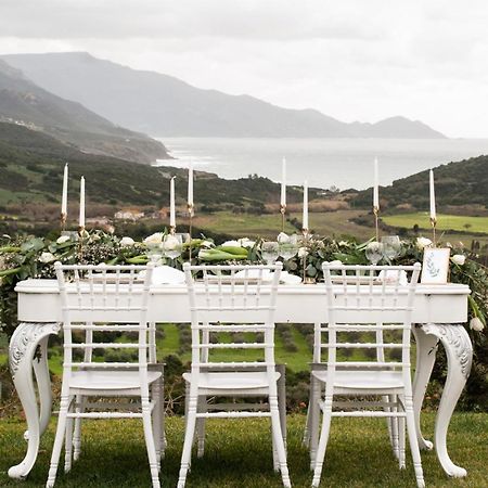 Villa Dama Luxury Αλγκέρο Εξωτερικό φωτογραφία