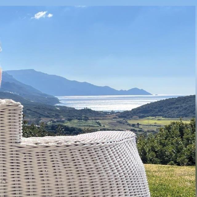 Villa Dama Luxury Αλγκέρο Εξωτερικό φωτογραφία
